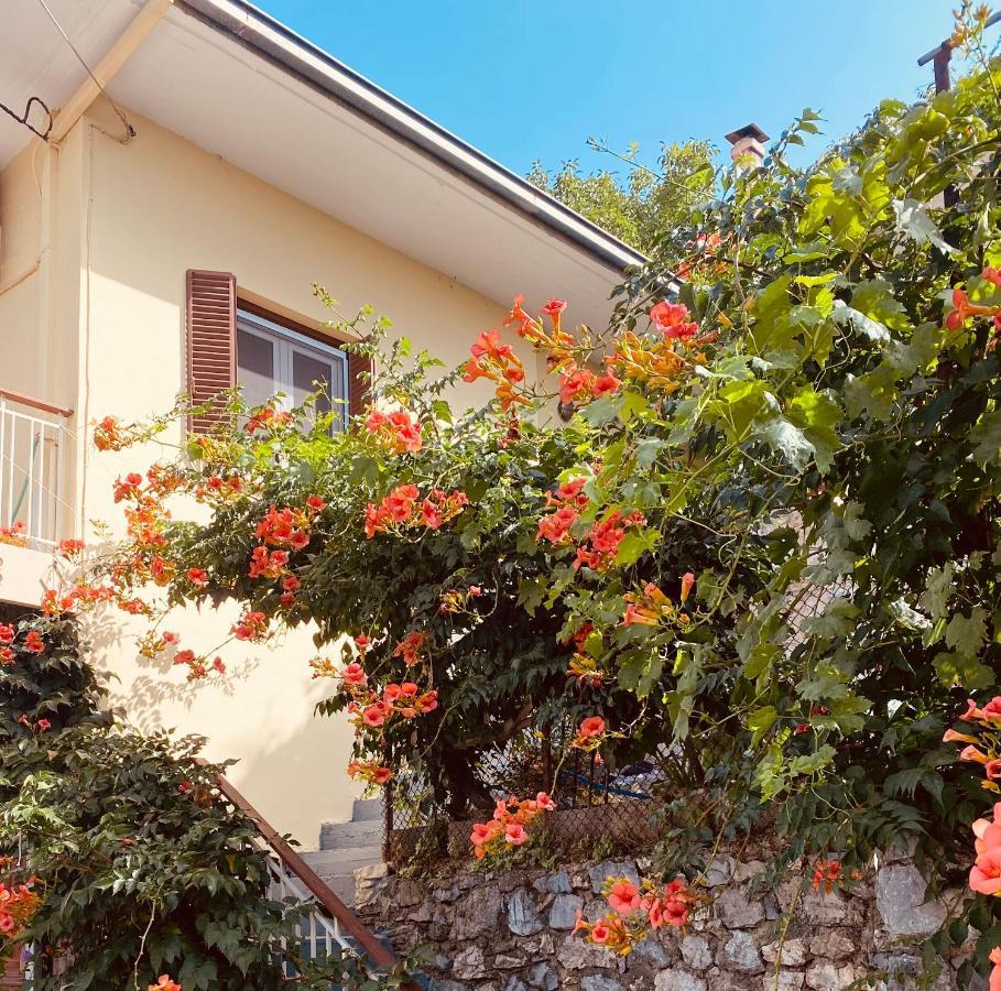 Ferienwohnung Ortansia Dimitsana Exterior foto