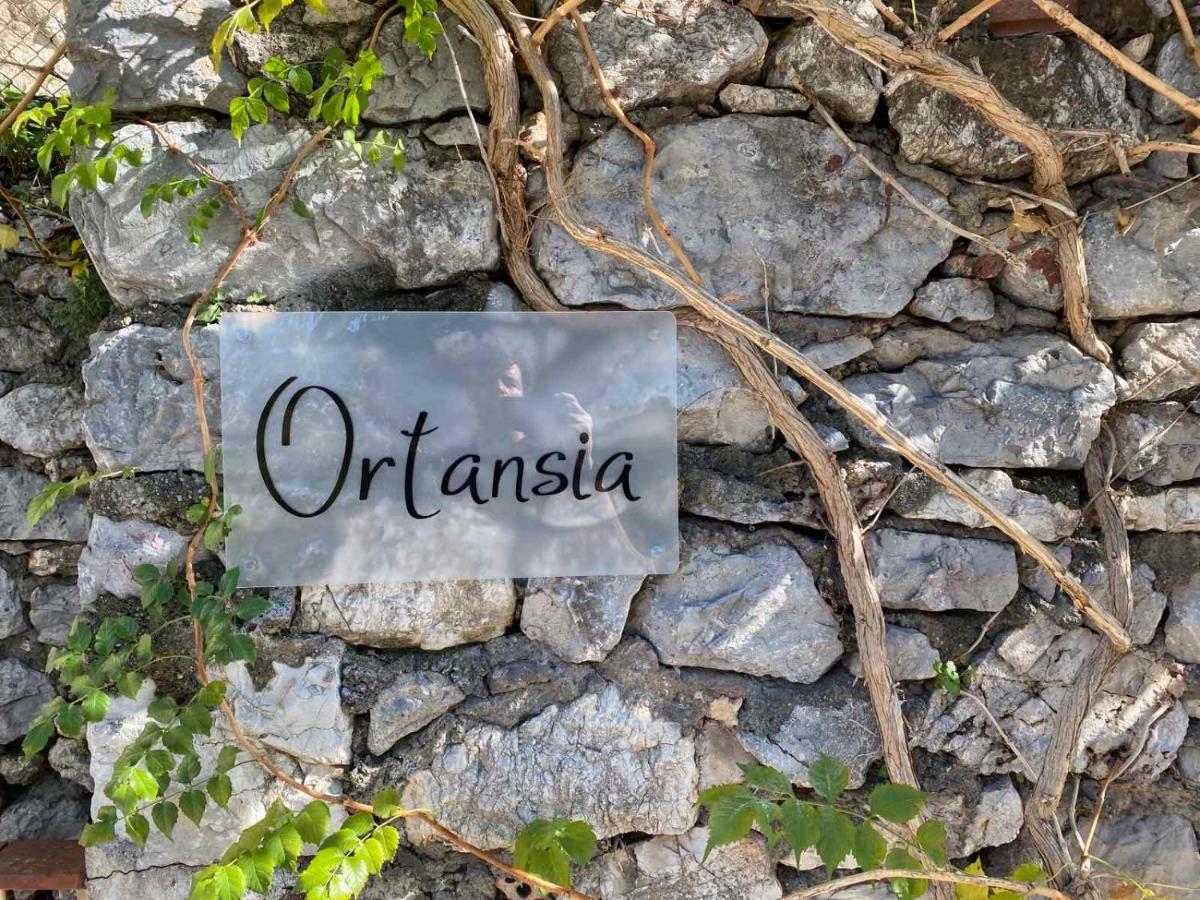 Ferienwohnung Ortansia Dimitsana Exterior foto