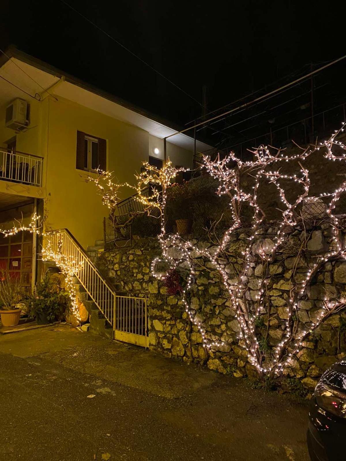 Ferienwohnung Ortansia Dimitsana Exterior foto
